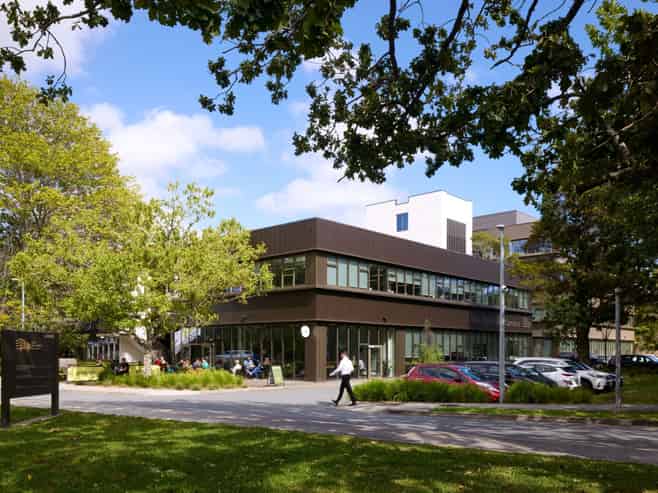 Premium light-filled workspace at Blue Mountains