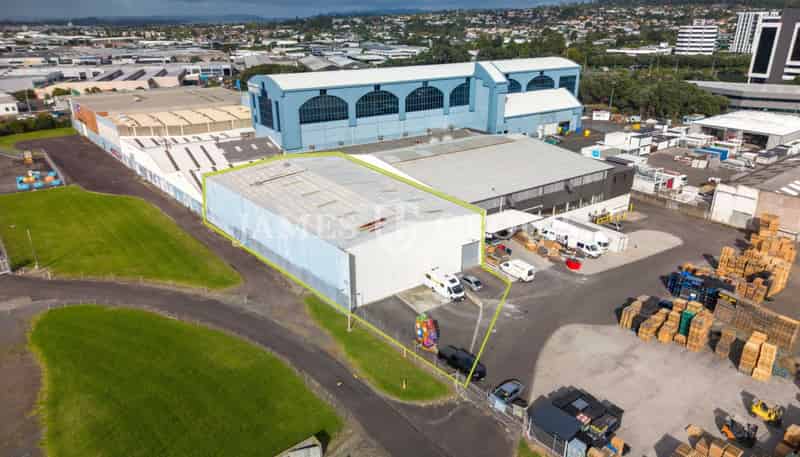 48 Wilkinson Road, Ellerslie