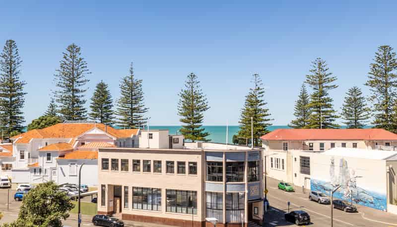 3E/3 Shakespeare Road, Napier South