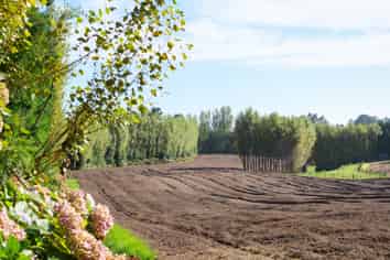 58 Rawaka Drive, Katikati