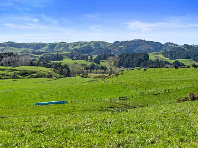  State Highway 23, Raglan