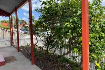 106  Davy Street, Thames