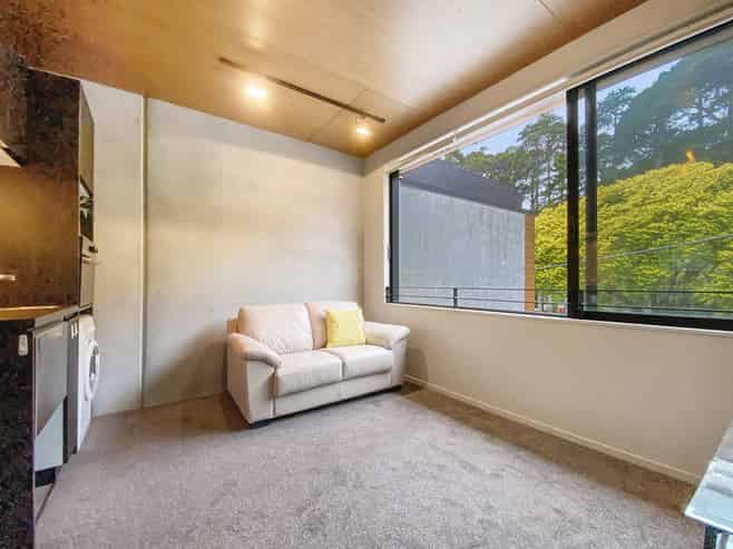 6/26 Glenmore Street, Thorndon