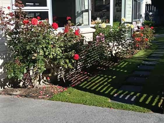 Central Otago / Lakes District - Address withheld