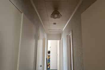 22 Massey Place, Masterton