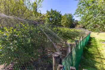 1693 Ruatiti Road, Ruatiti