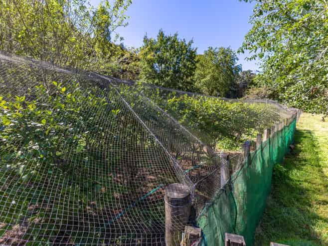 1693 Ruatiti Road, Ruatiti