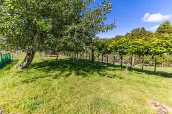1693 Ruatiti Road, Ruatiti