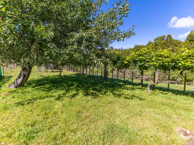 1693 Ruatiti Road, Ruatiti