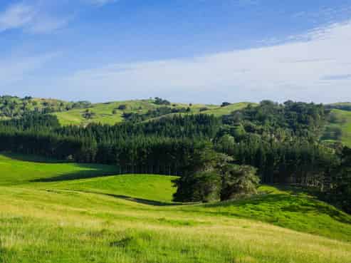  Ararua Road, Matakohe