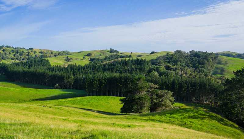  Ararua Road, Matakohe