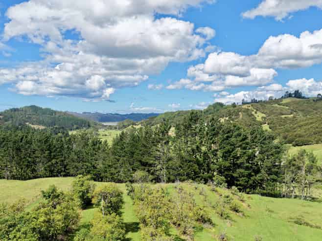 2843B Tairua Whitianga Road, Whitianga