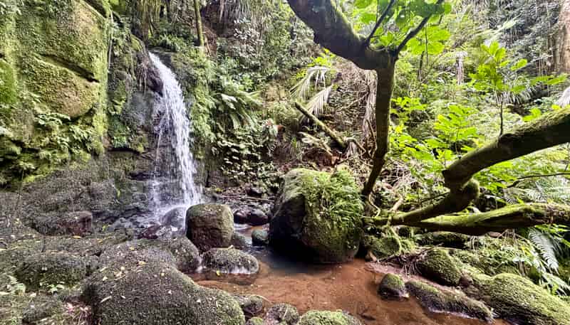 165b Mill Road, Bombay