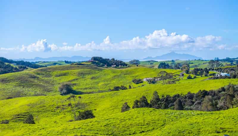 Glenmohr Road, Waipu