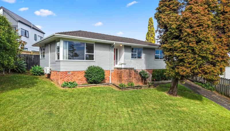 17 Fairdale Place, Birkdale