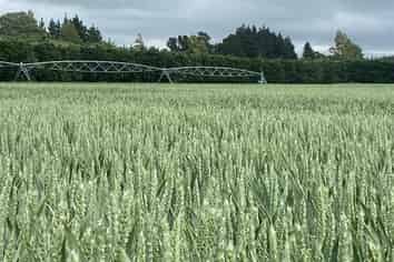 2166 Arundel Rakaia Gorge Road, Mayfield