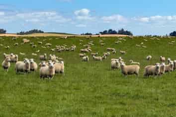 209 Quertier Road, Kaiwera