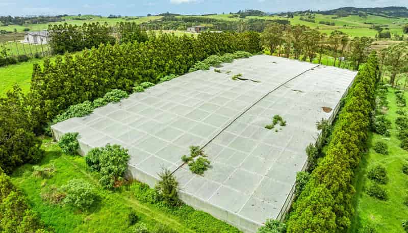 1/69 Vineyard Lane, Mangawhai