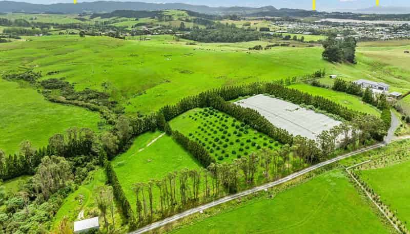 1/69 Vineyard Lane, Mangawhai