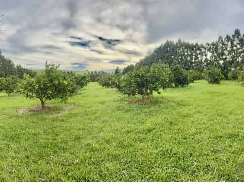 1/69 Vineyard Lane, Mangawhai