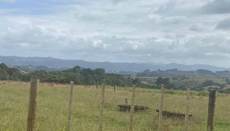 342A Mercer Ferry Road, Mercer