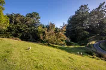 3 Adolphus Street, Norsewood