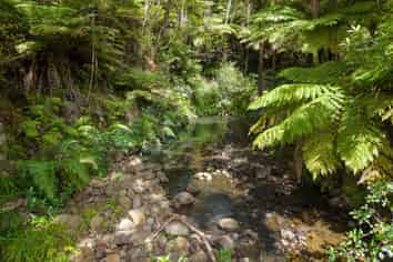 35 Whatipu Road, Huia