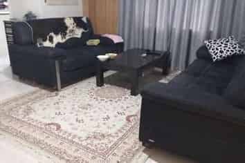 50 Waipa Street, Birkenhead