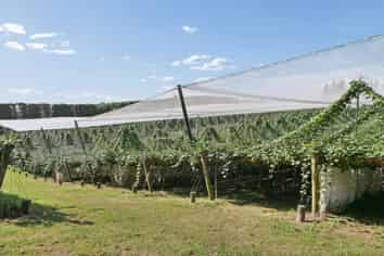 140C Wharawhara Road, Katikati