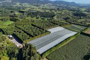 140C Wharawhara Road, Katikati