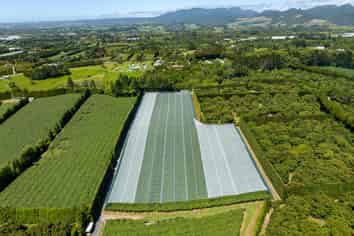 140C Wharawhara Road, Katikati