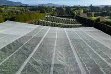 140C Wharawhara Road, Katikati