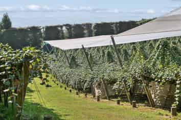 140C Wharawhara Road, Katikati