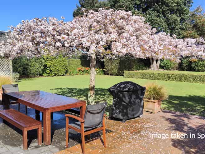 7 Douglas Street, Paraparaumu Beach