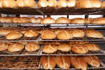 High Turnover Bakery - West Auckland