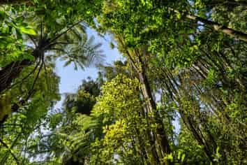 Lot 3 6A Waiata Road, Te Puna