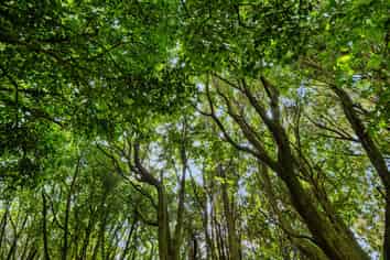 Lot 3 6A Waiata Road, Te Puna