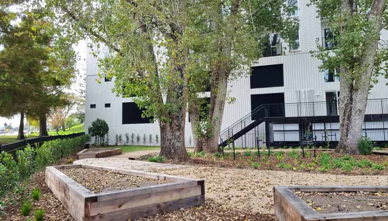 606/1817A Great North Road, Avondale