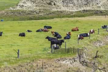 334 Omihi Road, Waipara