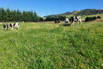 2000 Hillfoot Road, Warepa