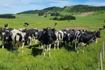 2000 Hillfoot Road, Warepa