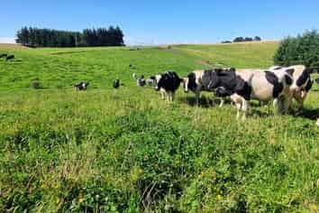 2000 Hillfoot Road, Warepa