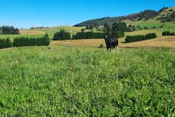 2000 Hillfoot Road, Warepa