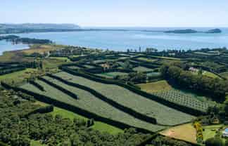 215 Ongare Point Road, Tahawai