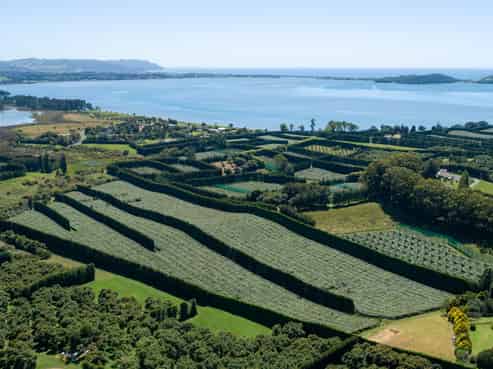 215 Ongare Point Road, Katikati