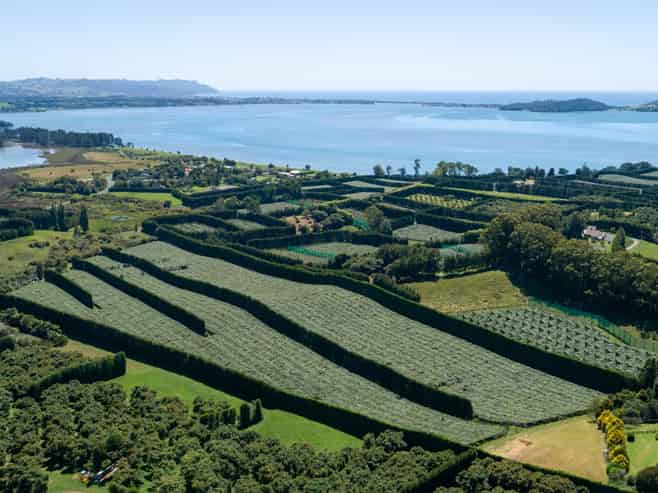 215 Ongare Point Road, Tahawai