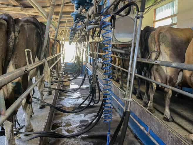 18 Hindle Road, Wellsford