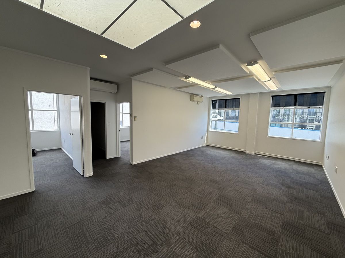 Professional CBD office suite