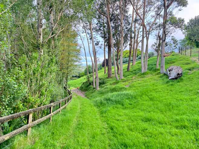 306 Pahoia Road, Whakamarama