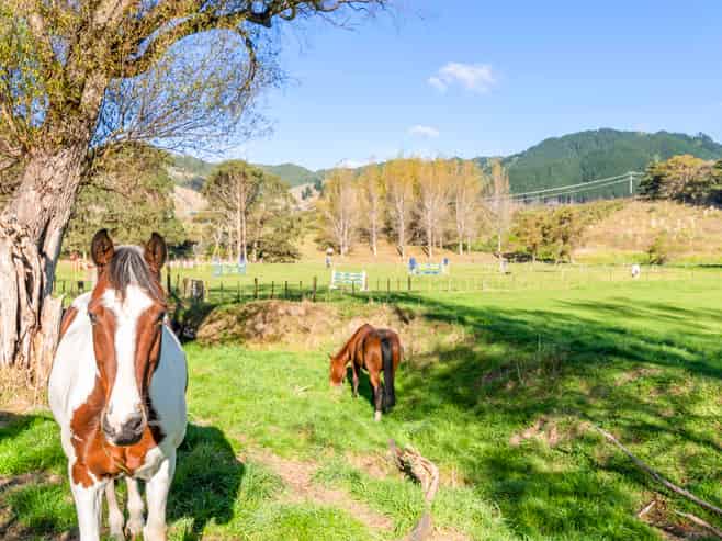 84 Derham Road, Te Horo